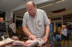 IMG 7521